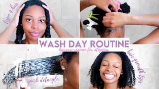 Natural Hair 4C Wash Day Routine For Alopecia + Hair Growth Tips | Lauren Danielle