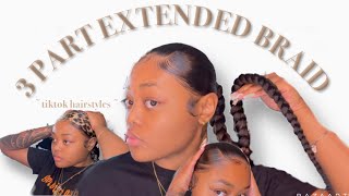 3 Part Ponytail Braid : Trying Tiktok Hair Style | Angiiedw
