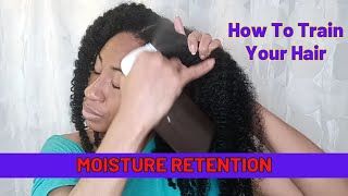 *Requested* Train Your Hair For Moisture Retention | Long 4C Hair Haircare
