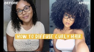 How To Diffuse Curly Hair : Achieving Volume