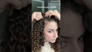 Curly Hair Clip In Extensions Try-On
