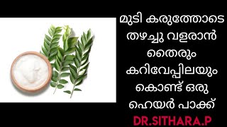 Curd And Curry Leaves Hair Pack Ii Hair Tips Ii Dr.Sithara Ii Malayalam